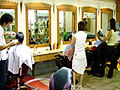 椰海大(dà)酒店(diàn)美发中心