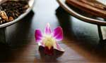 三亚(yà)财富海湾大酒店(diàn)SPA中心